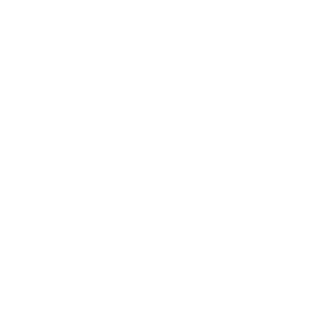 Welsh Government logo, link to website